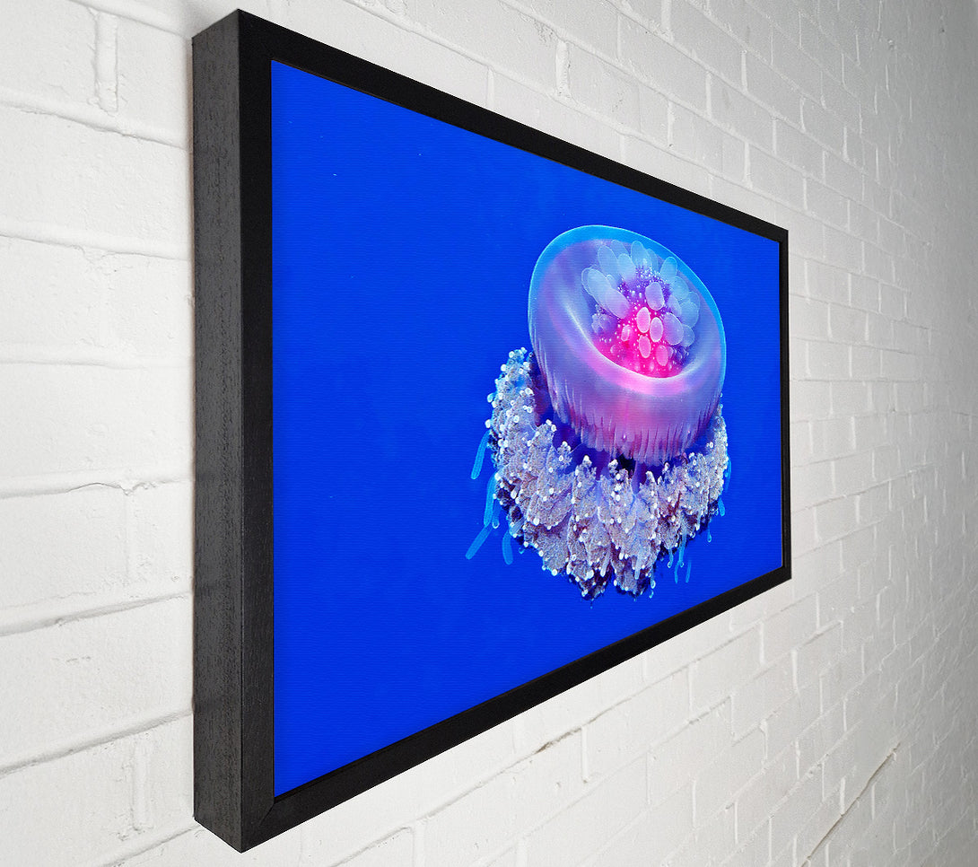  A Canvas Print of Jellyfish Pink Canvas Wall Art