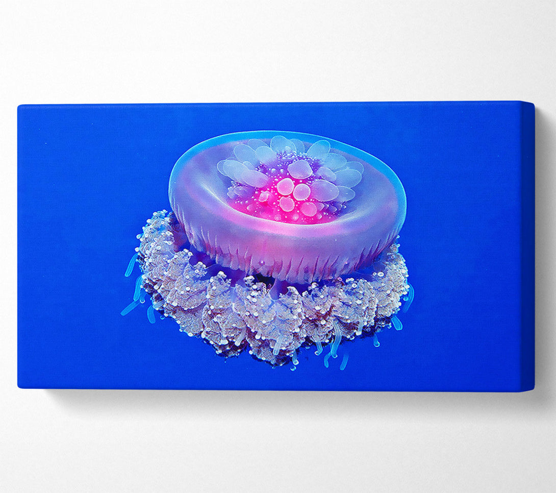  A Canvas Print of Jellyfish Pink Canvas Wall Art
