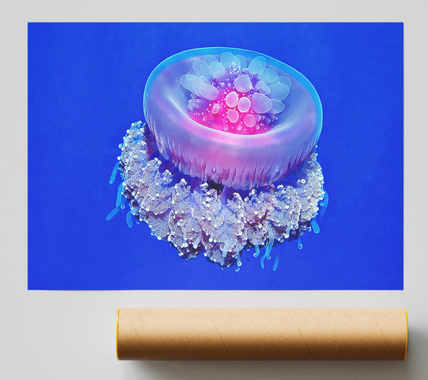 Jellyfish Pink Giclee Print