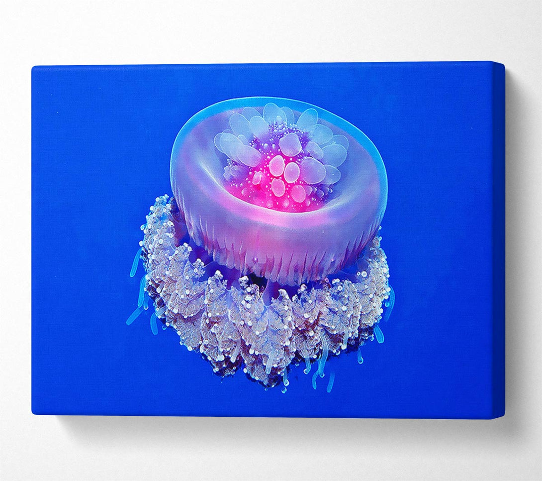  A Canvas Print of Jellyfish Pink Canvas Wall Art