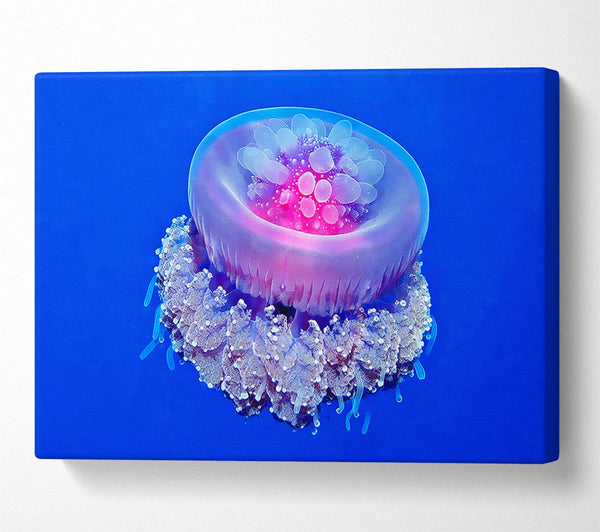  A Canvas Print of Jellyfish Pink Canvas Wall Art