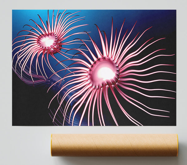 Jellyfish Swirl Print
