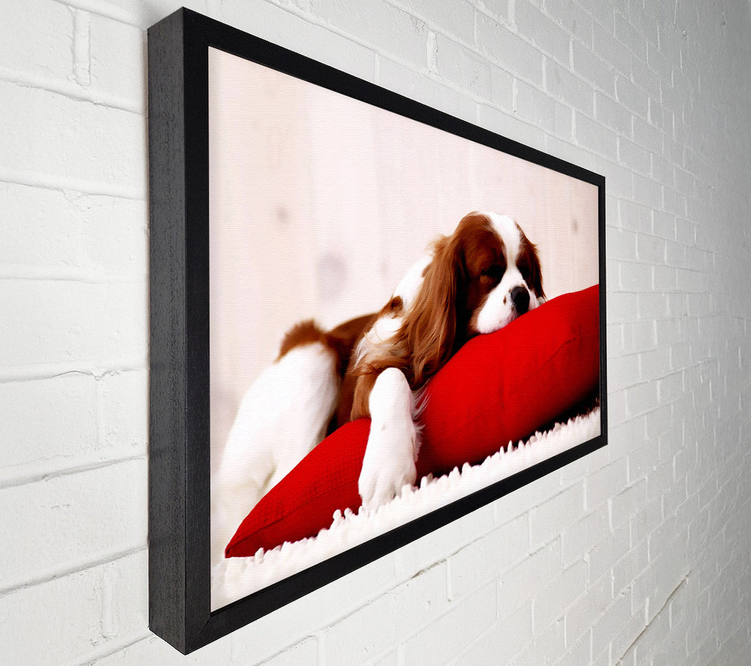  A Canvas Print of King Charles Thrown Canvas Art