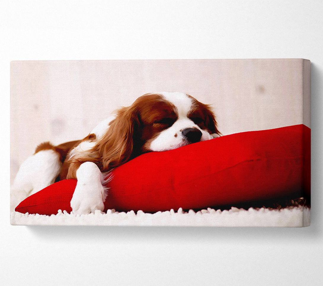  A Canvas Print of King Charles Thrown Canvas Art