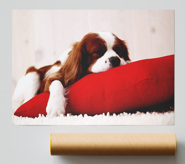 King Charles Thrown Poster