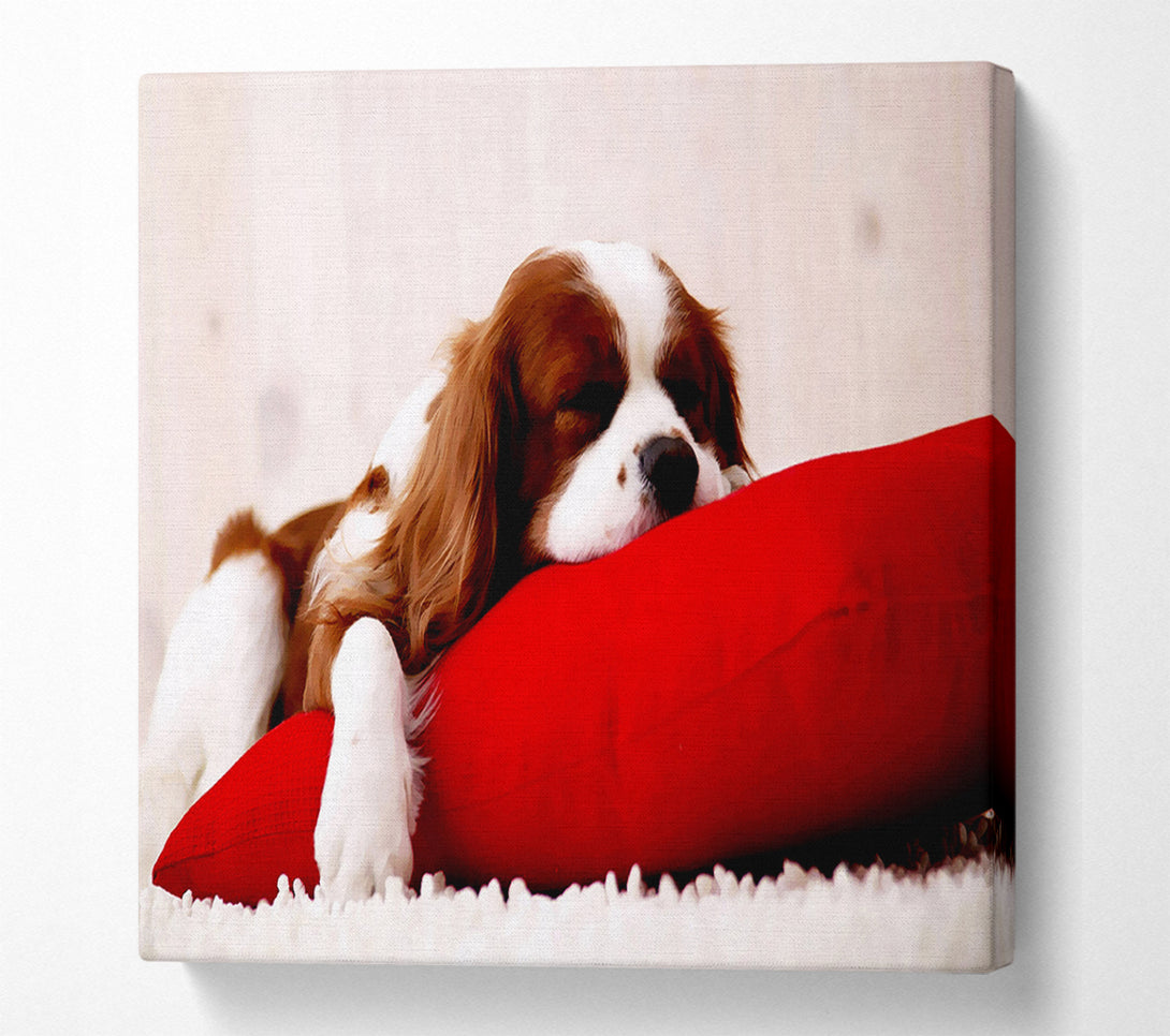  A Canvas Print of King Charles Thrown Canvas Art