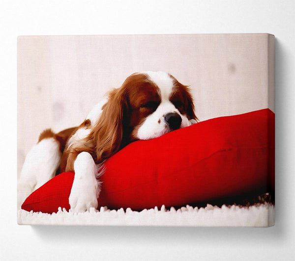  A Canvas Print of King Charles Thrown Canvas Art