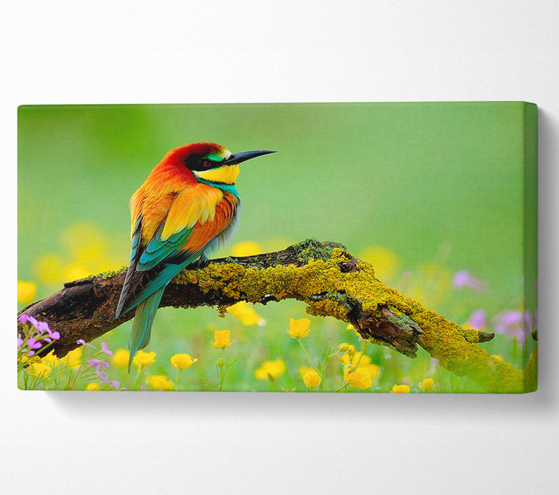  A Canvas Print of Kingfisher Wild Flowers Canvas Wall Art
