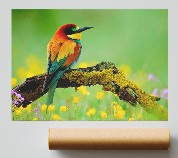Kingfisher Wild Flowers Giclee Print