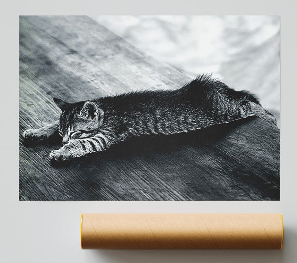 Kitten Dream Giclee Print