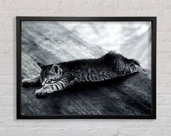 Kitten Dream Framed Print