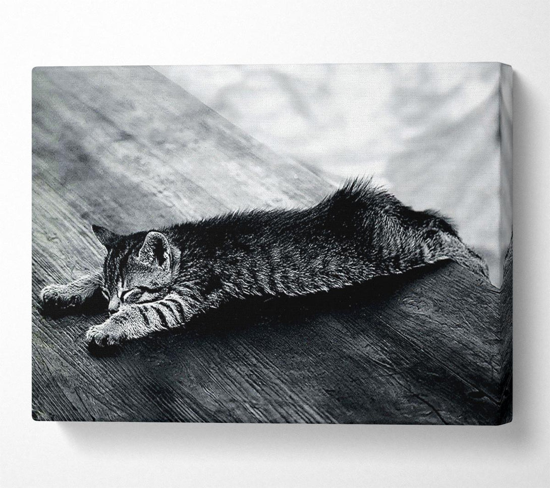  A Canvas Print of Kitten Dream Canvas Art