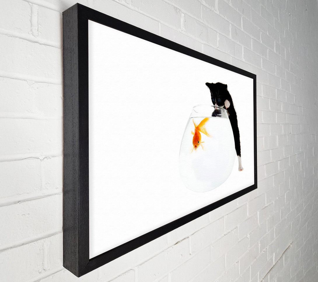  A Canvas Print of Kitten Fish Bowl Canvas Print