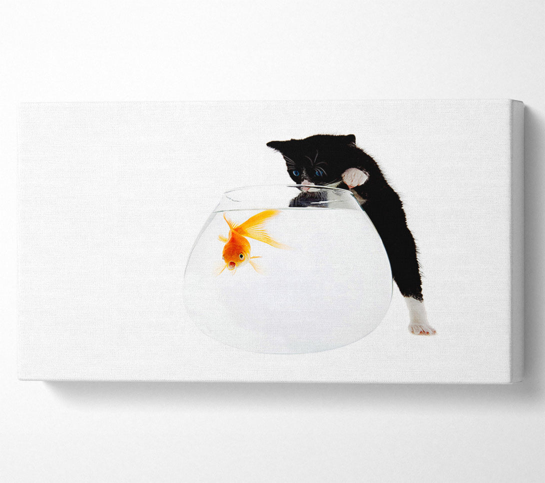  A Canvas Print of Kitten Fish Bowl Canvas Print