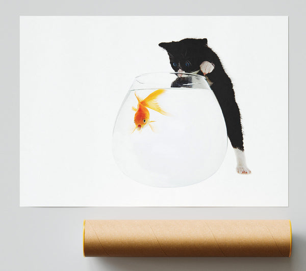 Kitten Fish Bowl Print