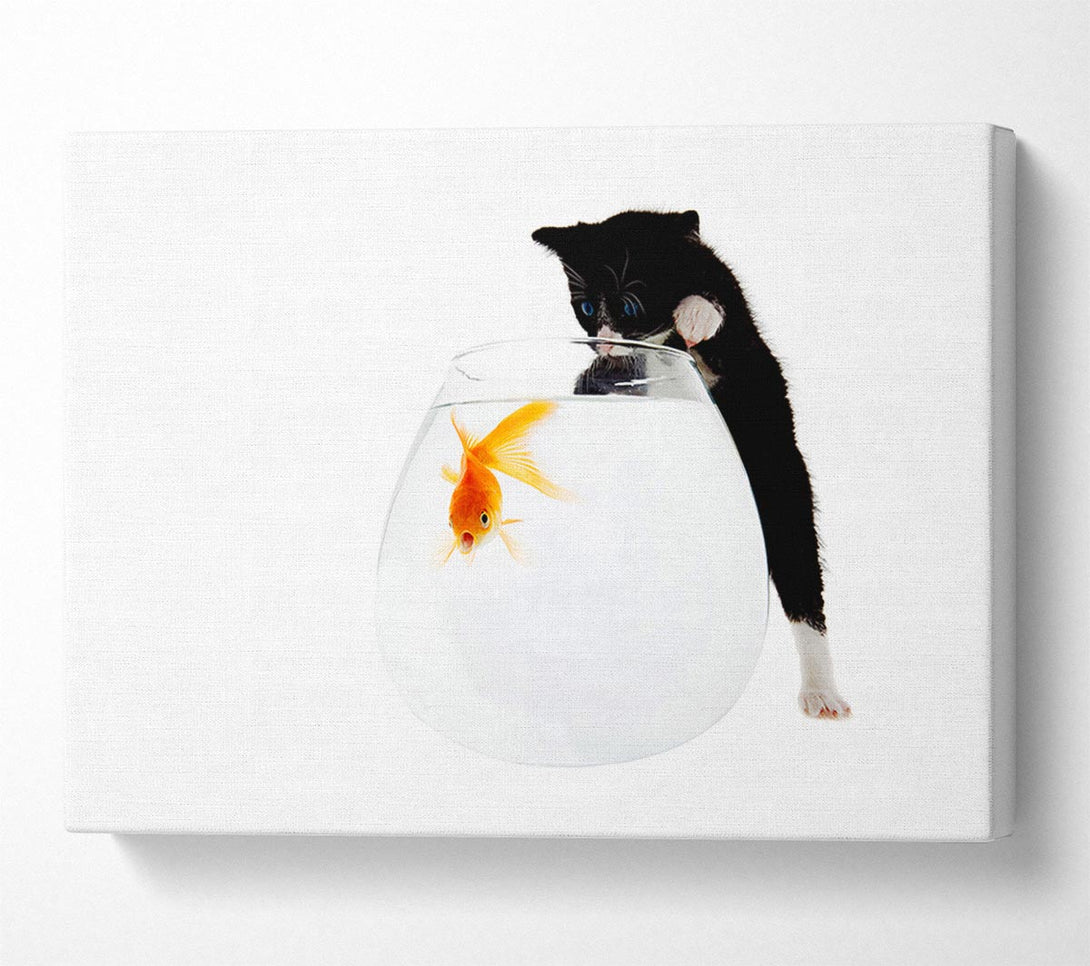  A Canvas Print of Kitten Fish Bowl Canvas Print