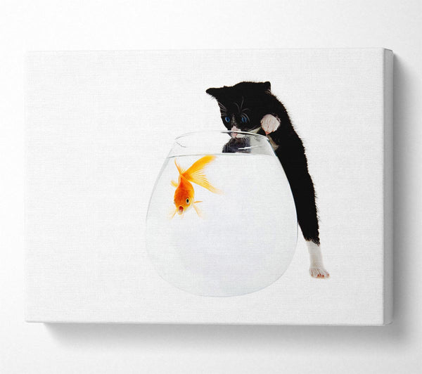  A Canvas Print of Kitten Fish Bowl Canvas Print