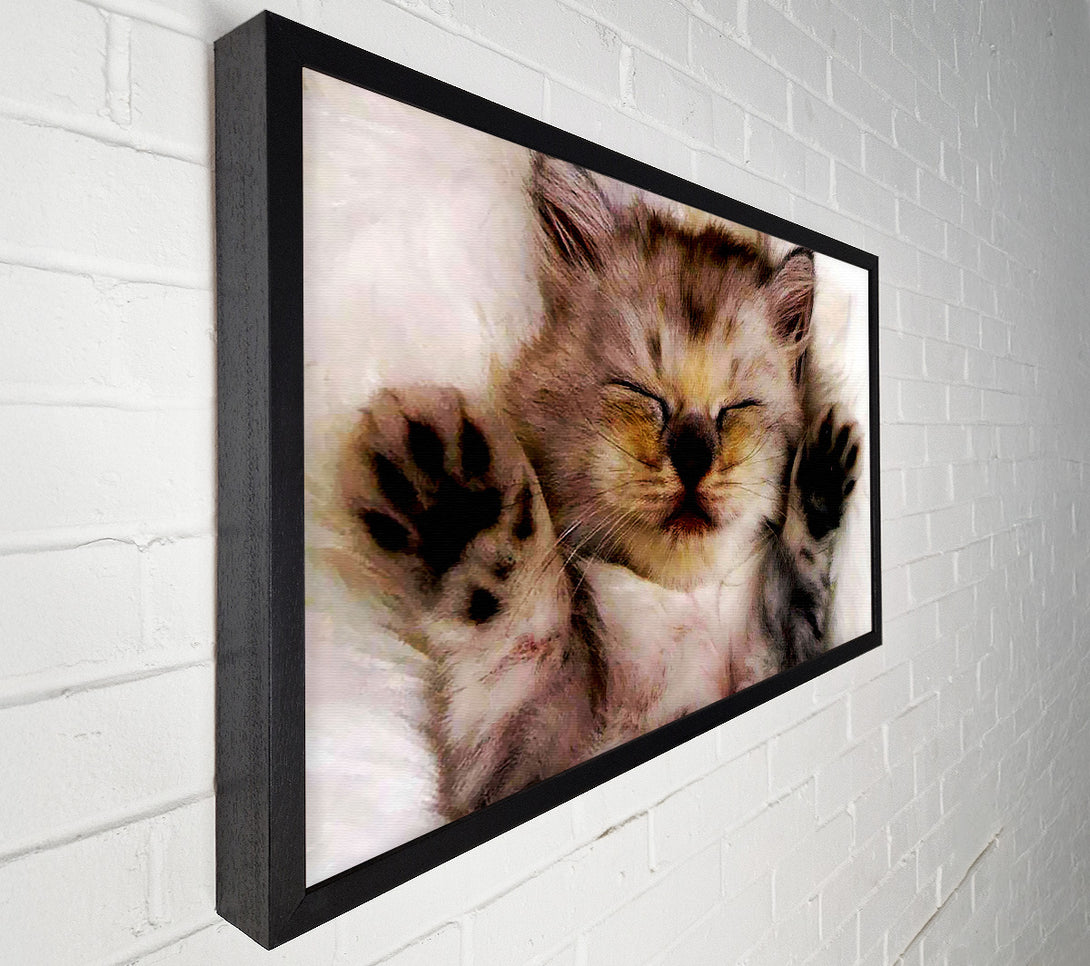  A Canvas Print of Kitten Love Canvas Print