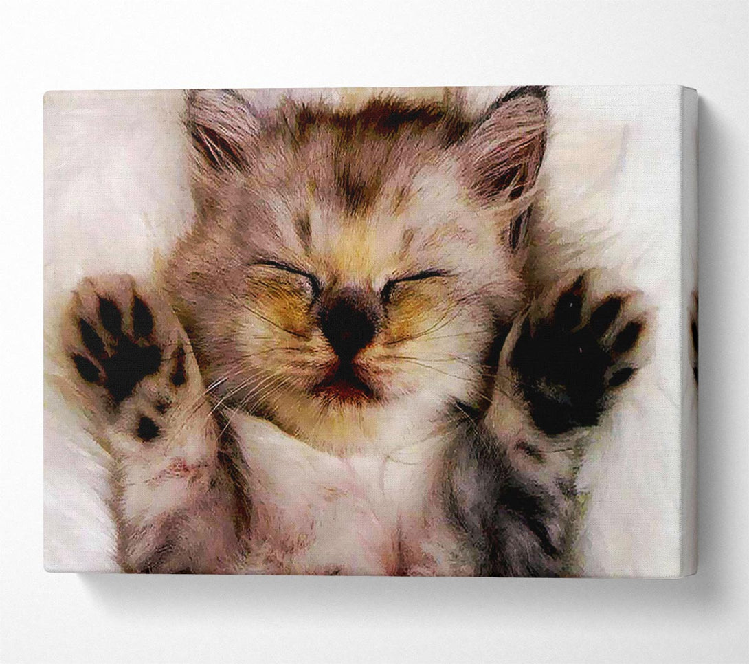  A Canvas Print of Kitten Love Canvas Print