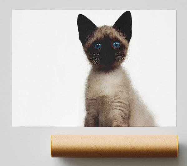 Kitten Mischief Poster