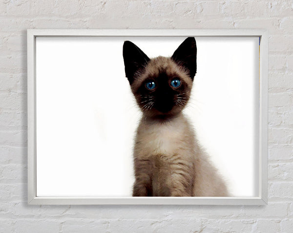 Kitten Mischief Framed Print