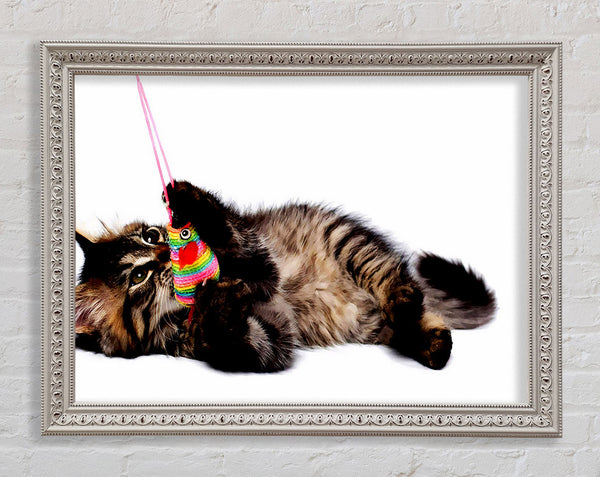 Kitten Play Framed Print