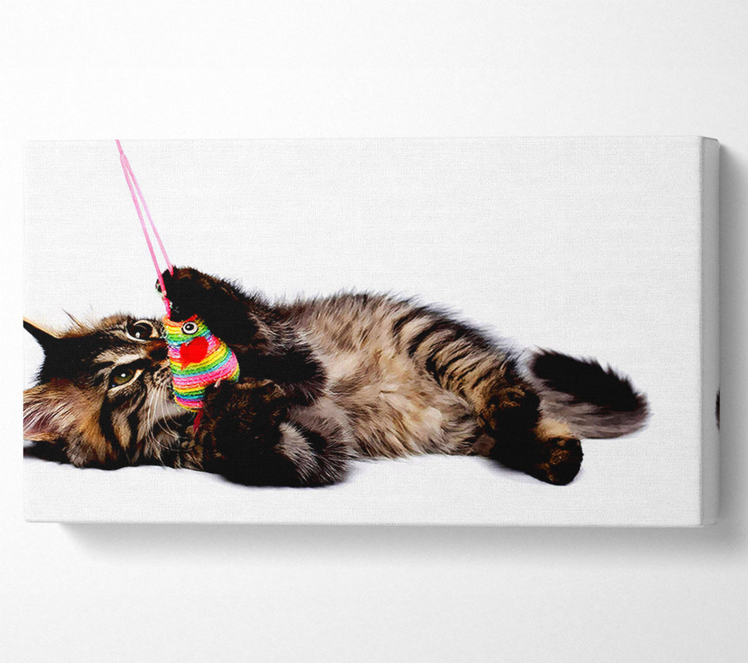  A Canvas Print of Kitten Play Canvas Wall Art
