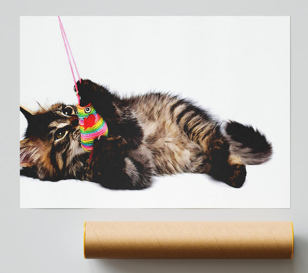 Kitten Play Poster