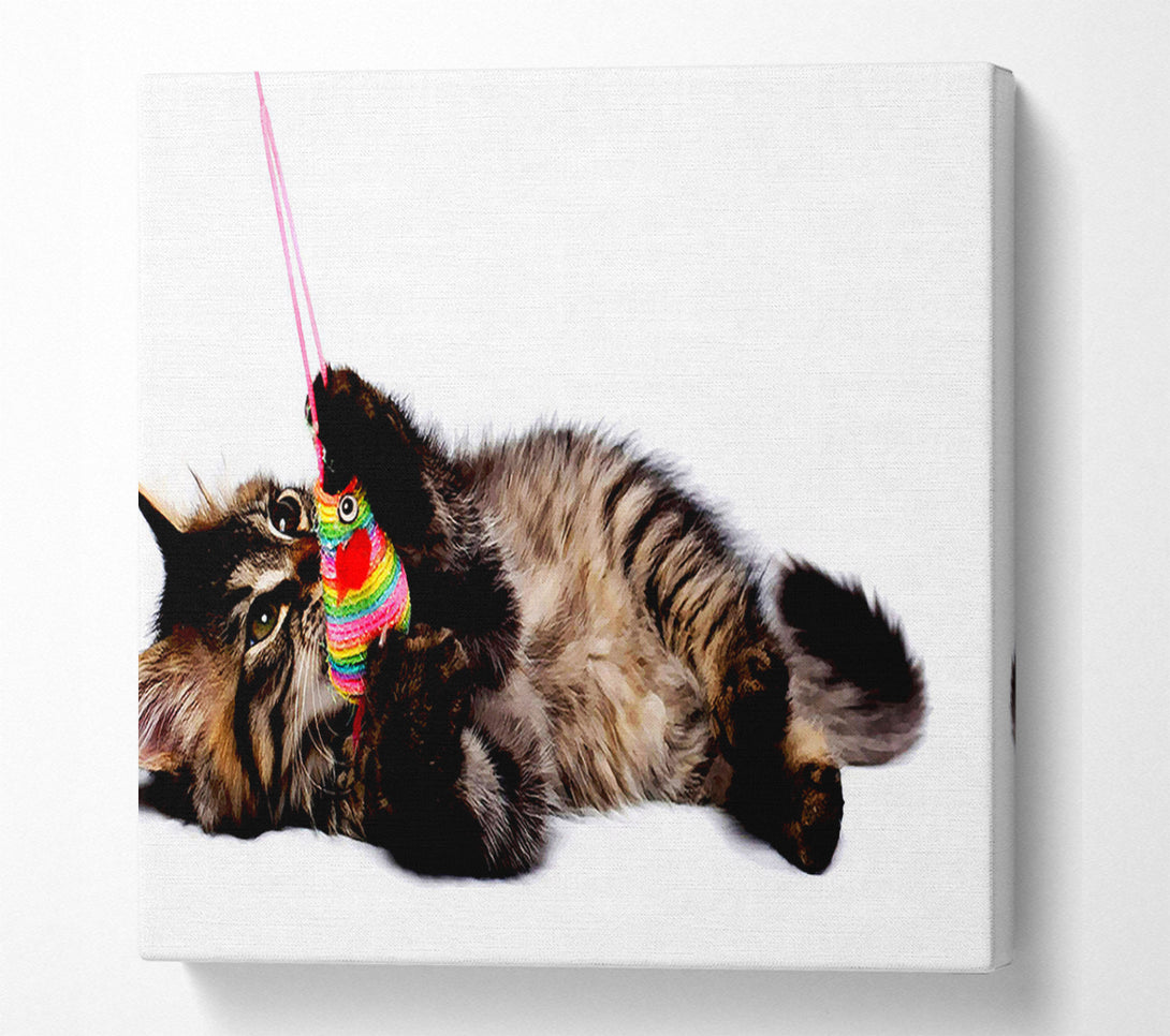  A Canvas Print of Kitten Play Canvas Wall Art