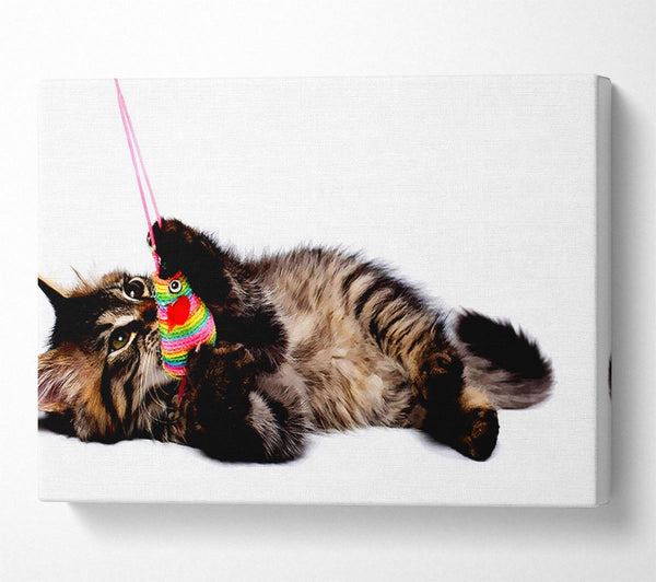  A Canvas Print of Kitten Play Canvas Wall Art