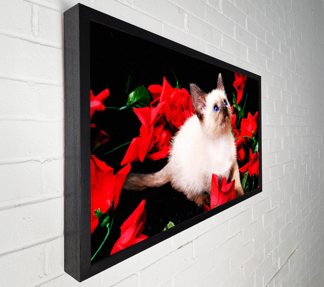  A Canvas Print of Kitten Roses Canvas Wall Art