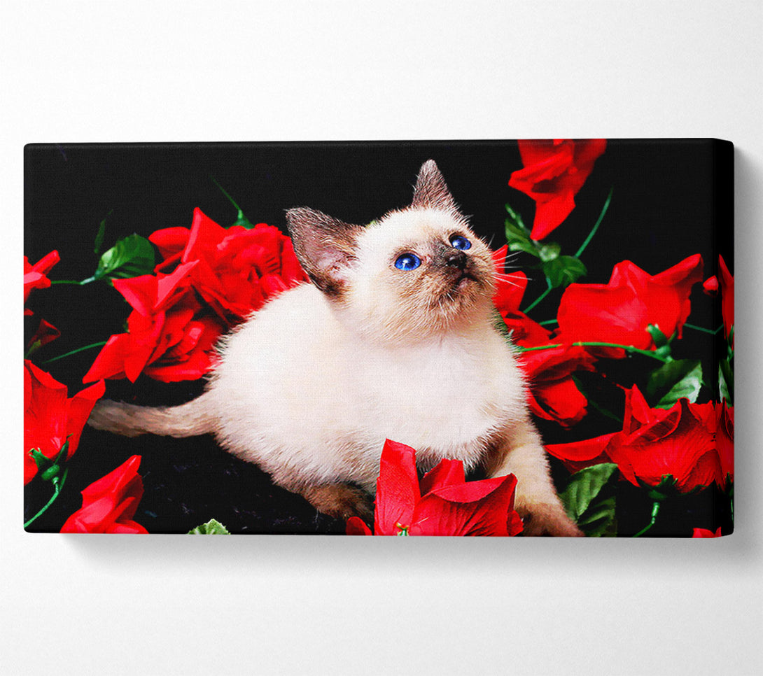  A Canvas Print of Kitten Roses Canvas Wall Art