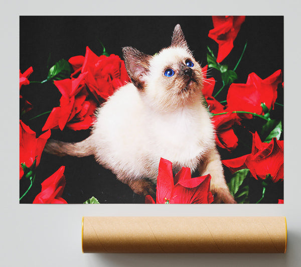 Kitten Roses Giclee Print