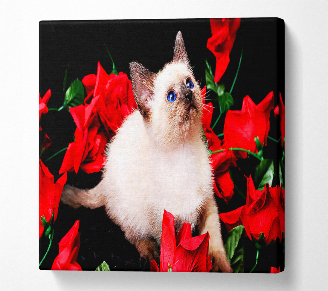  A Canvas Print of Kitten Roses Canvas Wall Art