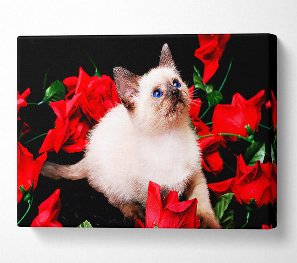  A Canvas Print of Kitten Roses Canvas Wall Art