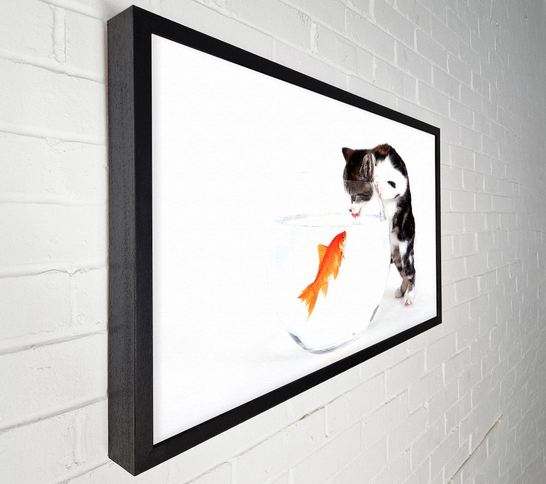  A Canvas Print of Kitten VS Fish Canvas Print
