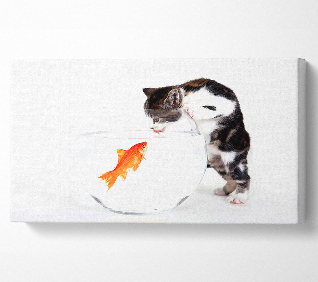  A Canvas Print of Kitten VS Fish Canvas Print