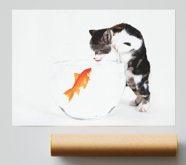 Kitten Vs Fish Poster