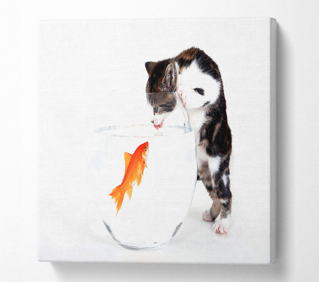  A Canvas Print of Kitten VS Fish Canvas Print