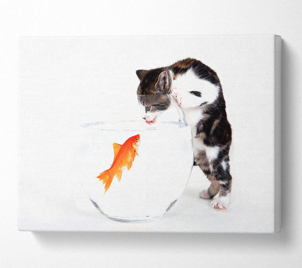  A Canvas Print of Kitten VS Fish Canvas Print