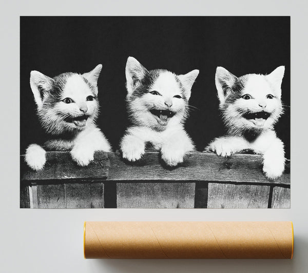 Laughing Kittens Giclee Print
