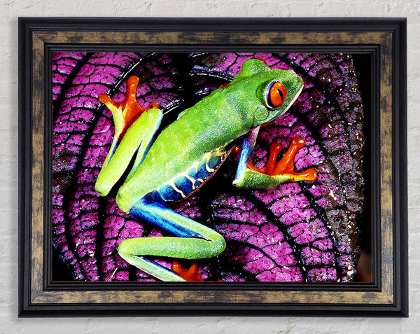 Leap Frog Framed Print