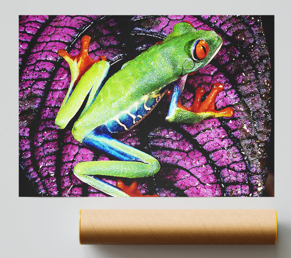 Leap Frog Print