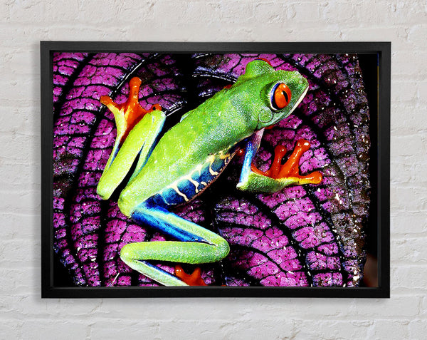 Leap Frog Framed Print