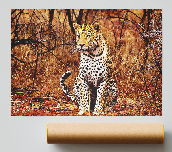 Leopard Hunt Print