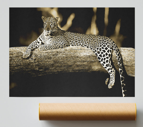 Leopard Lazy Days Giclee Print