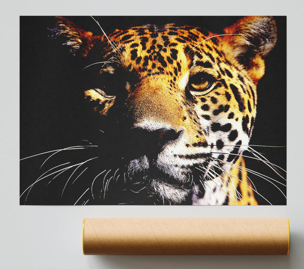 Leopard Pray Print