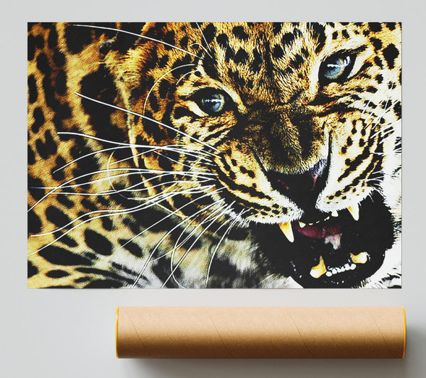 Leopard Roar Poster
