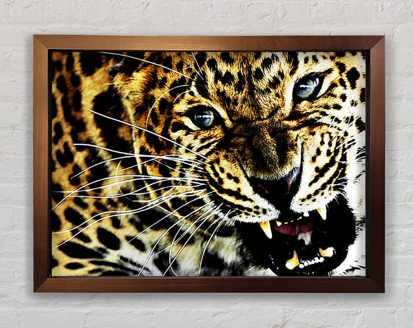 Leopard Roar Framed Print