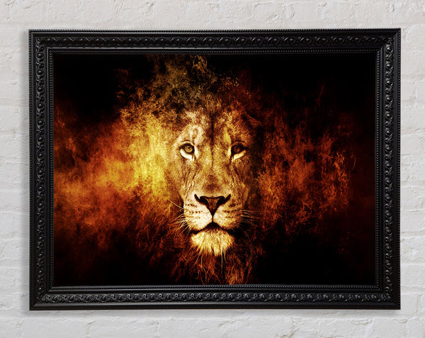 Lion Blaze Framed Print